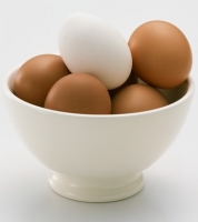 nguyên liệu thực phẩm chay Bột lòng trắng trứng